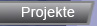 Projekte